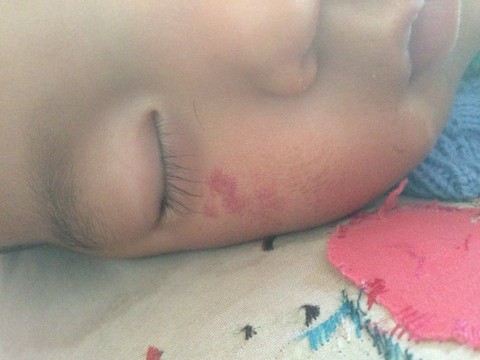 journal_insert_pic_222984221