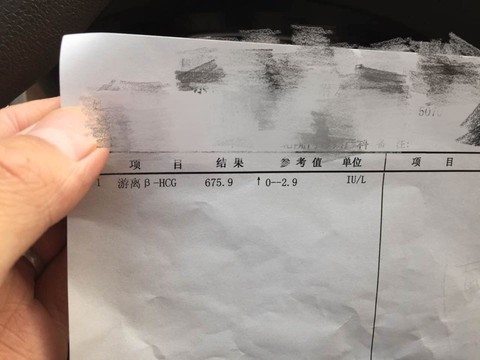 journal_insert_pic_223515898