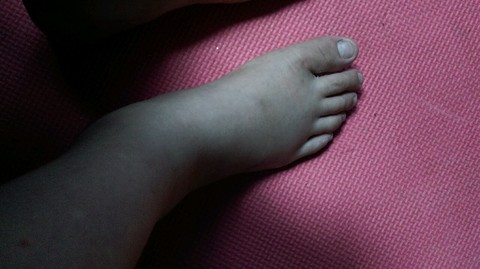 journal_insert_pic_224069364