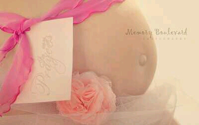 journal_insert_pic_224372643