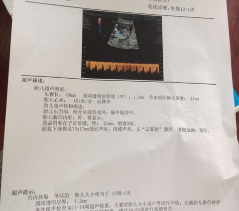 journal_insert_pic_224262121