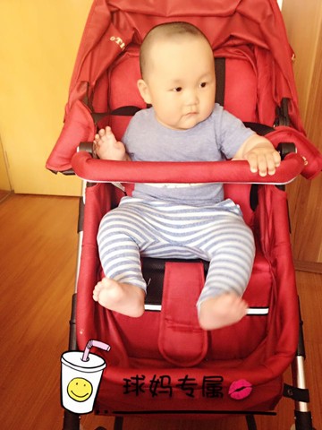 journal_insert_pic_224523851