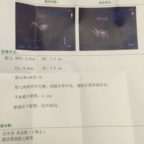 journal_insert_pic_231564692