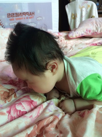 journal_insert_pic_231587333