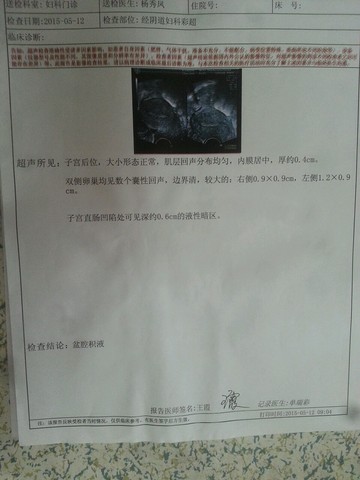 journal_insert_pic_231523918