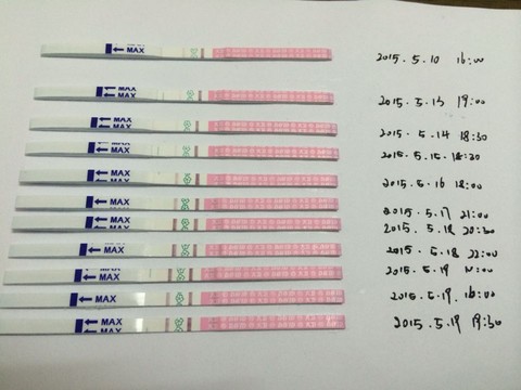 journal_insert_pic_232073495