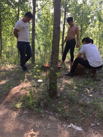 journal_insert_pic_232557150