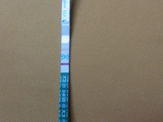 journal_insert_pic_232499724