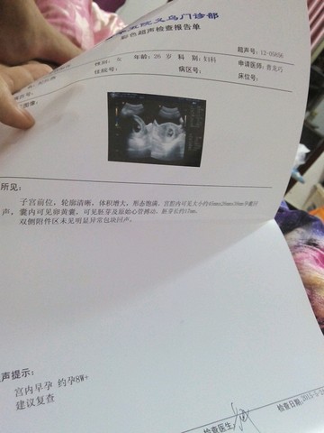 journal_insert_pic_233718493