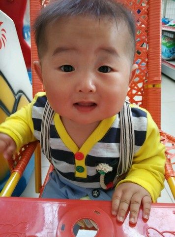 journal_insert_pic_233544527