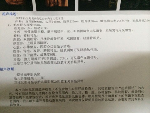 journal_insert_pic_234235328