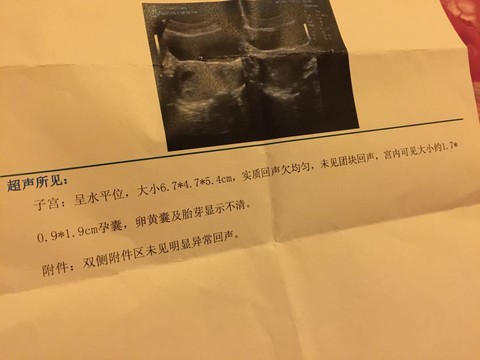 journal_insert_pic_235033735