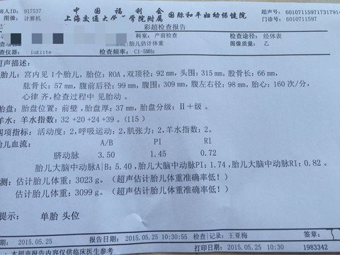 journal_insert_pic_235314242