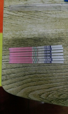 journal_insert_pic_238188873