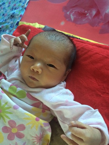 journal_insert_pic_238556591