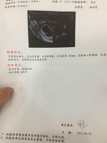 journal_insert_pic_238661330