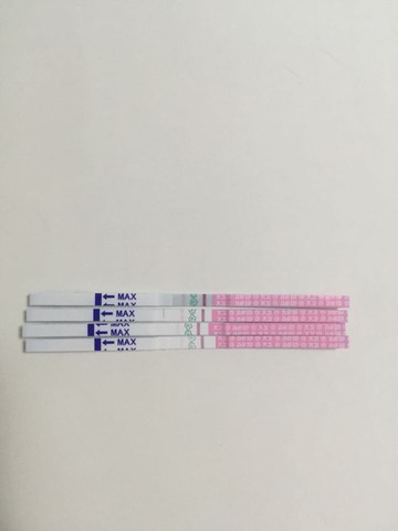 journal_insert_pic_240304711