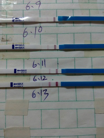 journal_insert_pic_242827248