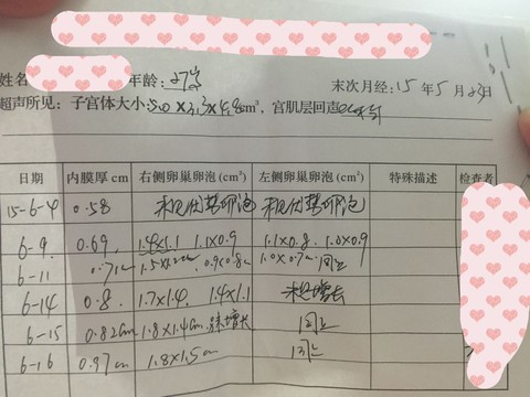 journal_insert_pic_244524063