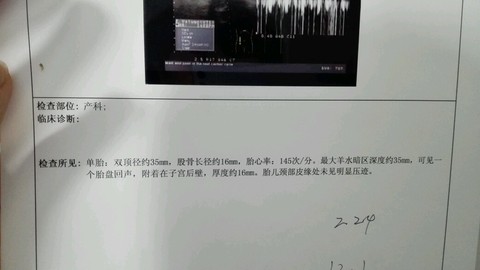 journal_insert_pic_244508392