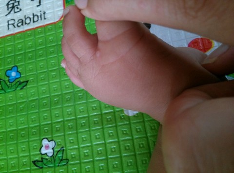 journal_insert_pic_245147933