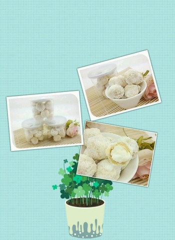 journal_insert_pic_245670680