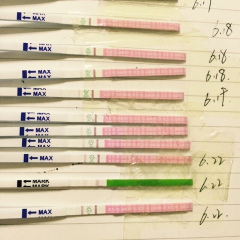 journal_insert_pic_247333521