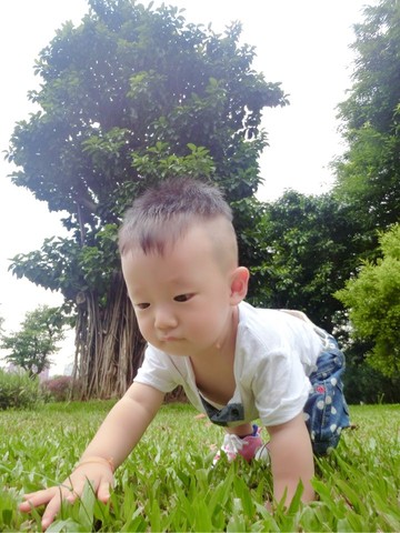 journal_insert_pic_247382227