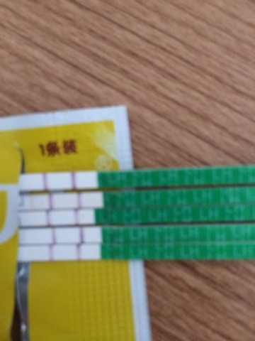 journal_insert_pic_247120006
