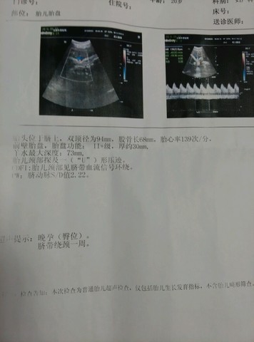 journal_insert_pic_247508167