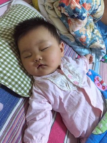 journal_insert_pic_247774676