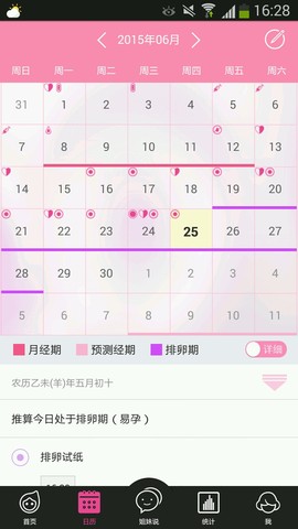 journal_insert_pic_248463512
