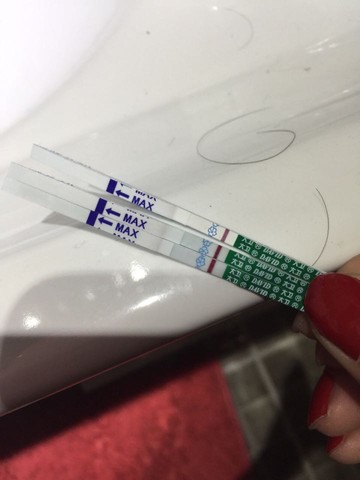 journal_insert_pic_248262088