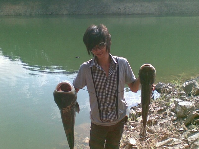 这些野生的最好不过了_在农村就这点好,野生的铁皮石斛,野生杨_宝宝树