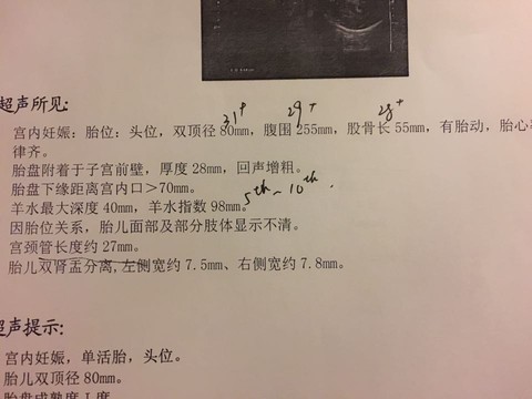 journal_insert_pic_248905135