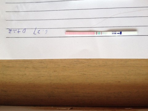 journal_insert_pic_249513298