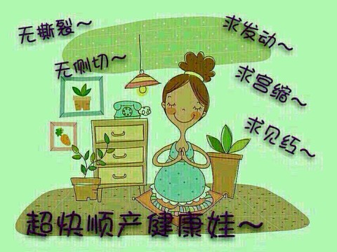 journal_insert_pic_249738824