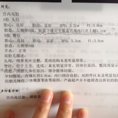 journal_insert_pic_250136137