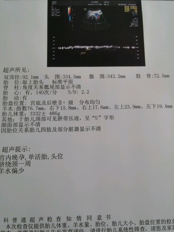 journal_insert_pic_250171605