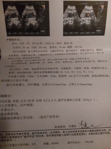 journal_insert_pic_250999690