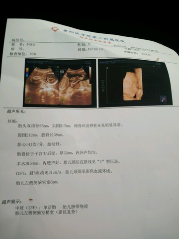 journal_insert_pic_251074132