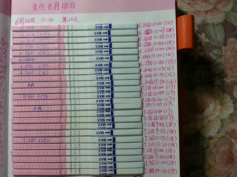 journal_insert_pic_251693350