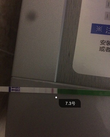 journal_insert_pic_252353753