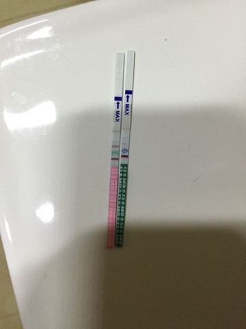 journal_insert_pic_252698632