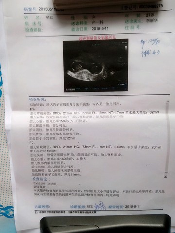 journal_insert_pic_253045210