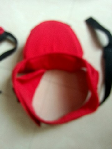 journal_insert_pic_253369553