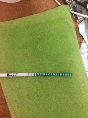 journal_insert_pic_253887595
