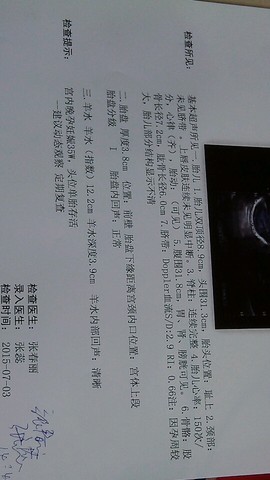 journal_insert_pic_253694624