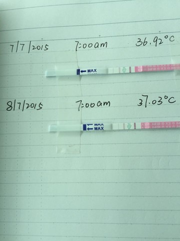 journal_insert_pic_253809155