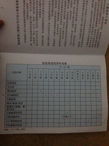 journal_insert_pic_254042589